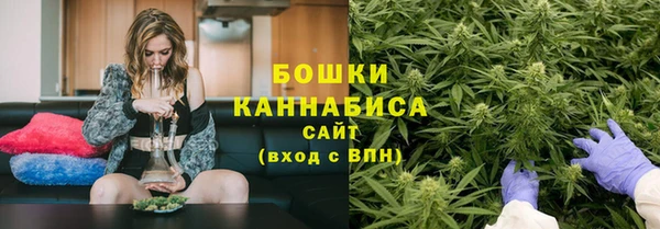 бутират Белокуриха