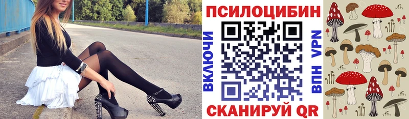 где можно купить наркотик Горнозаводск Галлюциногенные грибы Magic Shrooms